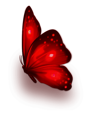 Mariposa 2